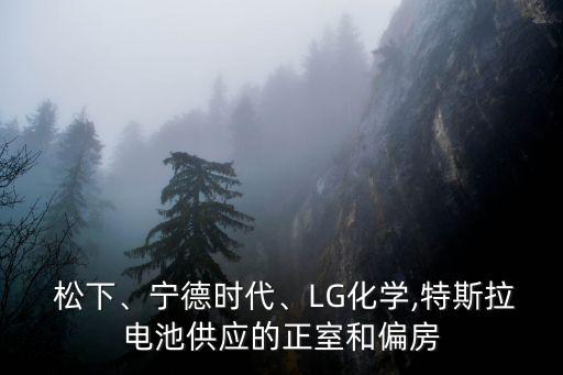  松下、寧德時代、LG化學,特斯拉電池供應(yīng)的正室和偏房