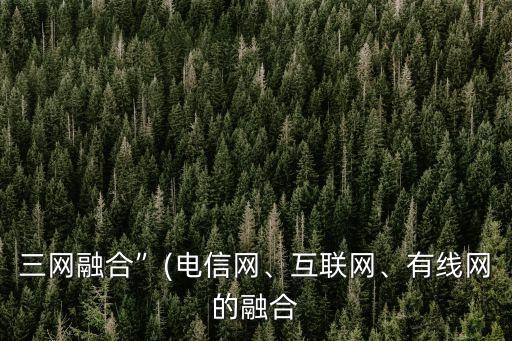 三網(wǎng)融合”(電信網(wǎng)、互聯(lián)網(wǎng)、有線網(wǎng)的融合