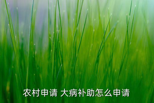 農(nóng)村申請 大病補(bǔ)助怎么申請