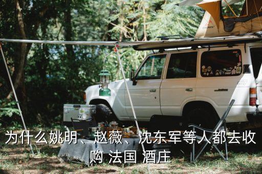 為什么姚明、趙薇、沈東軍等人都去收購 法國 酒莊