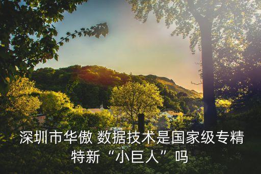 深圳市雅力數據有限公司,三河雅力信息技術有限公司