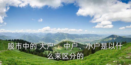 股市中的 大戶、 中戶、小戶是以什么來區(qū)分的
