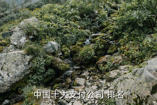 中國(guó)十大支付公司 排名