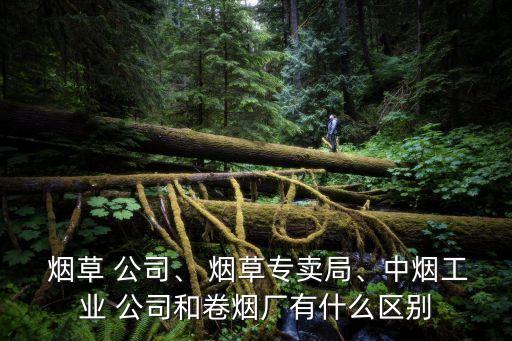  煙草 公司、 煙草專賣局、中煙工業(yè) 公司和卷煙廠有什么區(qū)別