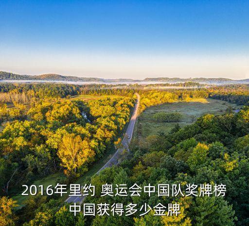2016年里約 奧運(yùn)會中國隊(duì)獎(jiǎng)牌榜中國獲得多少金牌