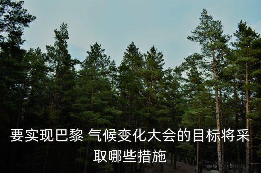 要實現(xiàn)巴黎 氣候變化大會的目標(biāo)將采取哪些措施
