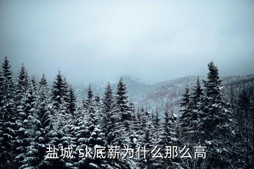 sk集團(tuán)怎樣,韓國sk集團(tuán)創(chuàng)始人