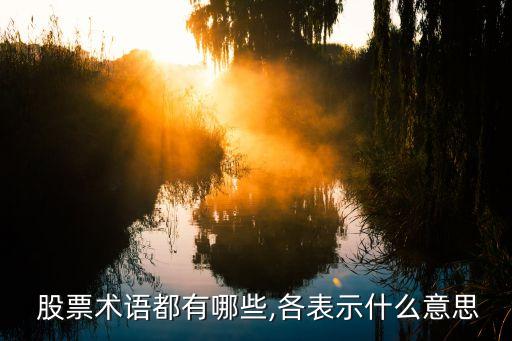 股票比喻產子,對股票最形象的比喻