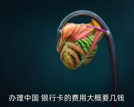 辦理中國 銀行卡的費(fèi)用大概要幾錢