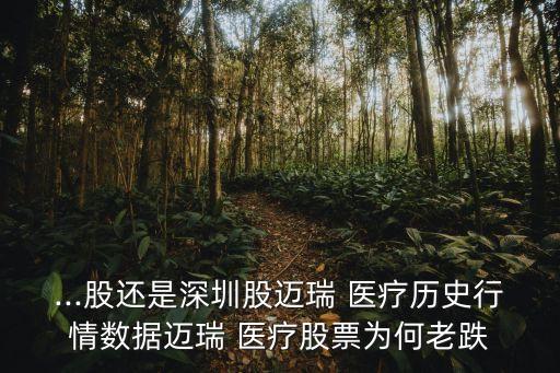 ...股還是深圳股邁瑞 醫(yī)療歷史行情數據邁瑞 醫(yī)療股票為何老跌