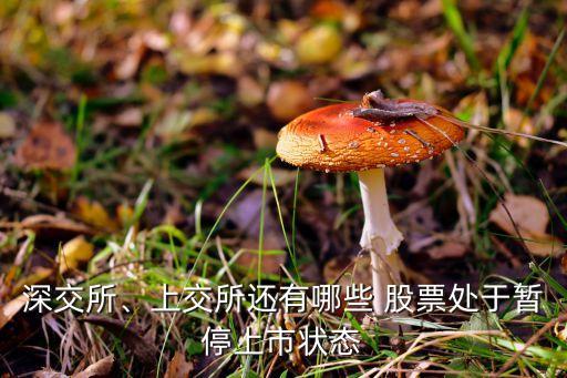 深交所、上交所還有哪些 股票處于暫停上市狀態(tài)