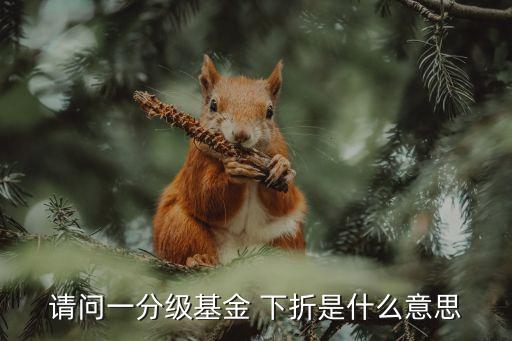 請(qǐng)問一分級(jí)基金 下折是什么意思