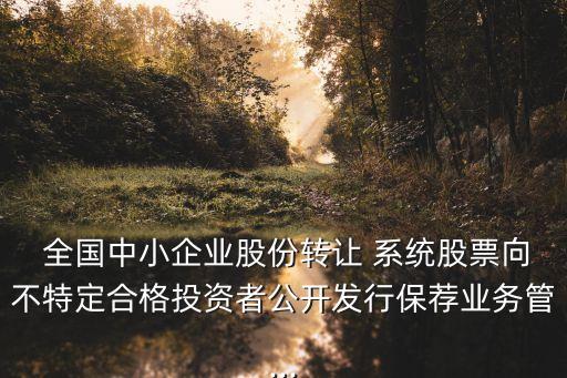  全國中小企業(yè)股份轉讓 系統(tǒng)股票向不特定合格投資者公開發(fā)行保薦業(yè)務管...