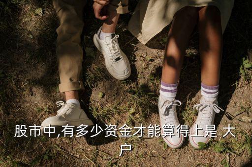股票大戶(hù)中戶(hù)