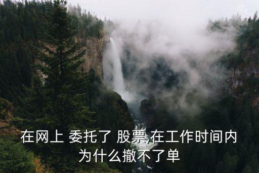 在網上 委托了 股票,在工作時間內為什么撤不了單