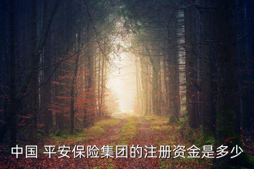 中國 平安保險(xiǎn)集團(tuán)的注冊資金是多少