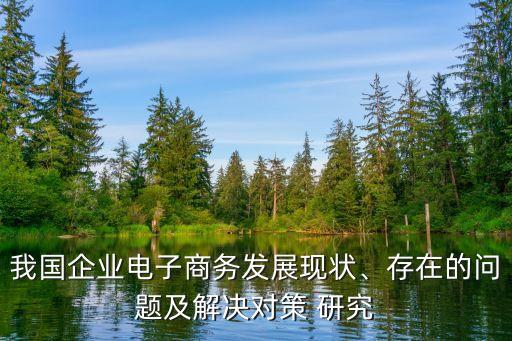我國(guó)企業(yè)電子商務(wù)發(fā)展現(xiàn)狀、存在的問題及解決對(duì)策 研究