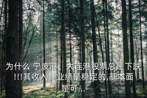 為什么 寧波港、大連港股票總是下跌!!!其收入、業(yè)績(jī)是穩(wěn)定的,基本面是可...