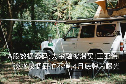 A股數(shù)據(jù)密碼:大金融被爆買!王亞偉、淡水泉調(diào)研忙不停,4月底牌大曝光...