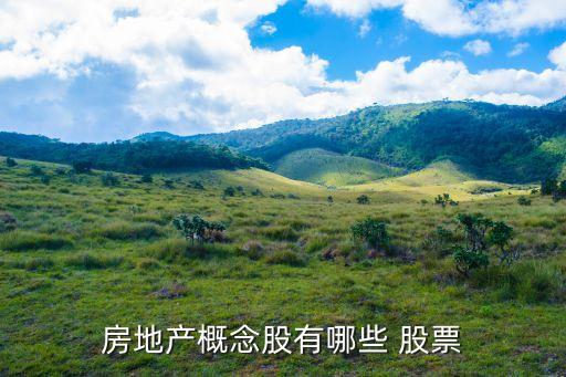 房地產概念股有哪些 股票