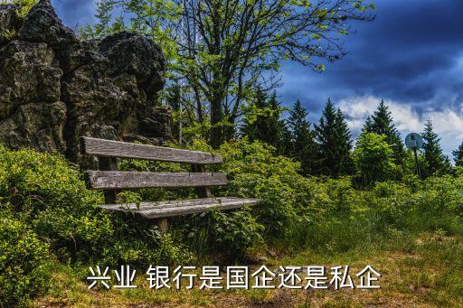 興業(yè)銀行占股,長(zhǎng)期持有興業(yè)銀行股如何