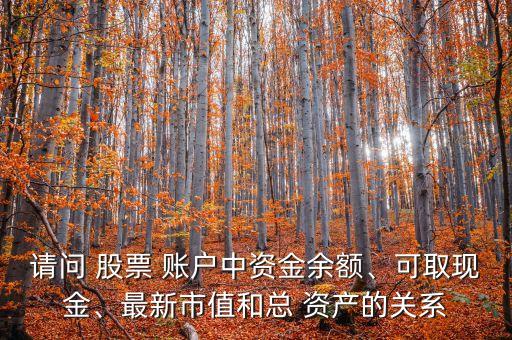請(qǐng)問 股票 賬戶中資金余額、可取現(xiàn)金、最新市值和總 資產(chǎn)的關(guān)系