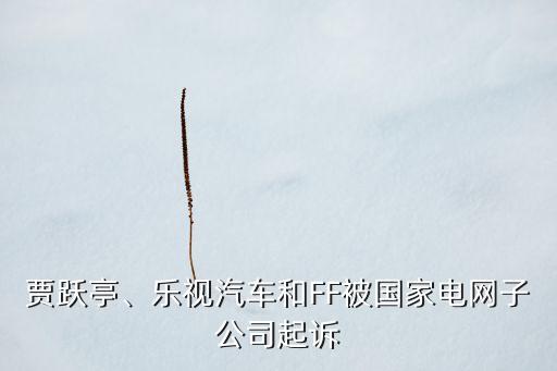 賈躍亭、樂視汽車和FF被國家電網(wǎng)子公司起訴