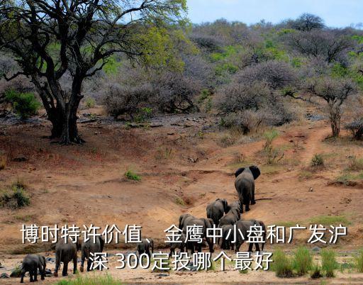 博時(shí)特許價(jià)值、金鷹中小盤和廣發(fā)滬深 300定投哪個(gè)最好
