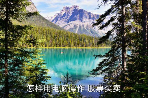怎樣用電腦操作 股票買(mǎi)賣