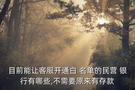 目前能讓客服開通白 名單的民營(yíng) 銀行有哪些,不需要原來有存款