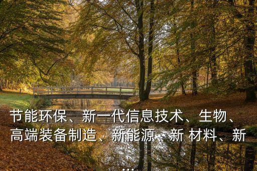 節(jié)能環(huán)保、新一代信息技術(shù)、生物、 高端裝備制造、新能源、新 材料、新...