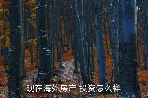 現在海外房產 投資怎么樣