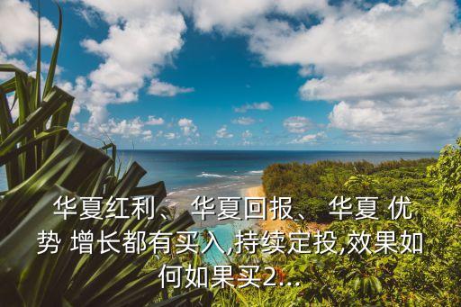  華夏紅利、 華夏回報、 華夏 優(yōu)勢 增長都有買入,持續(xù)定投,效果如何如果買2...