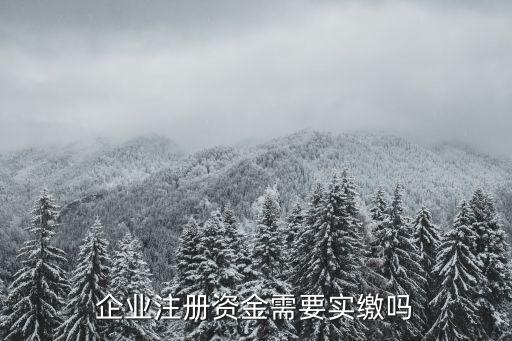 企業(yè)注冊資金需要實(shí)繳嗎