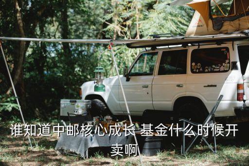 誰(shuí)知道中郵核心成長(zhǎng) 基金什么時(shí)候開(kāi)賣(mài)啊