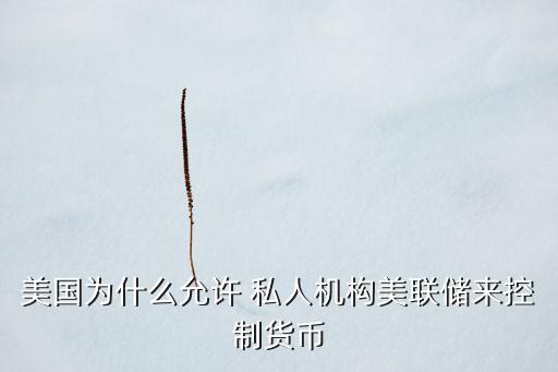 美國為什么允許 私人機構(gòu)美聯(lián)儲來控制貨幣