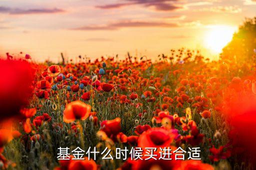  基金什么時候買進(jìn)合適