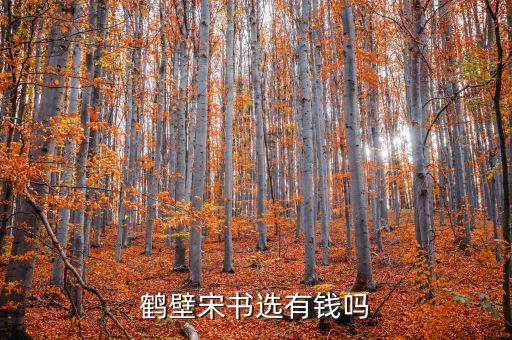 鶴壁宋書(shū)選有錢嗎